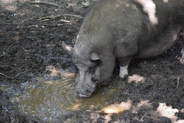 界敲响了警 界敲响了警