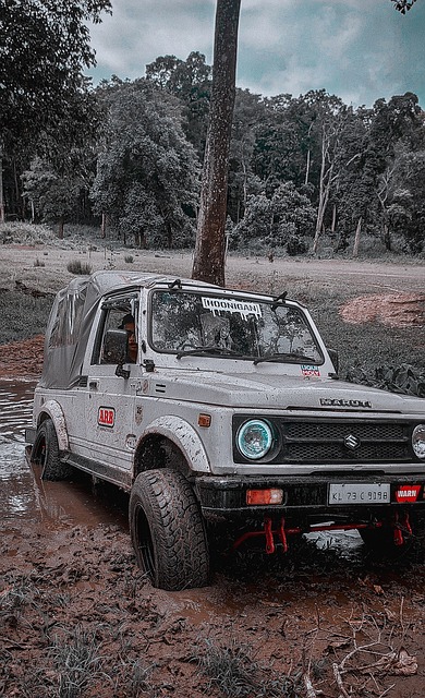 仅让广体队 仅让广体队