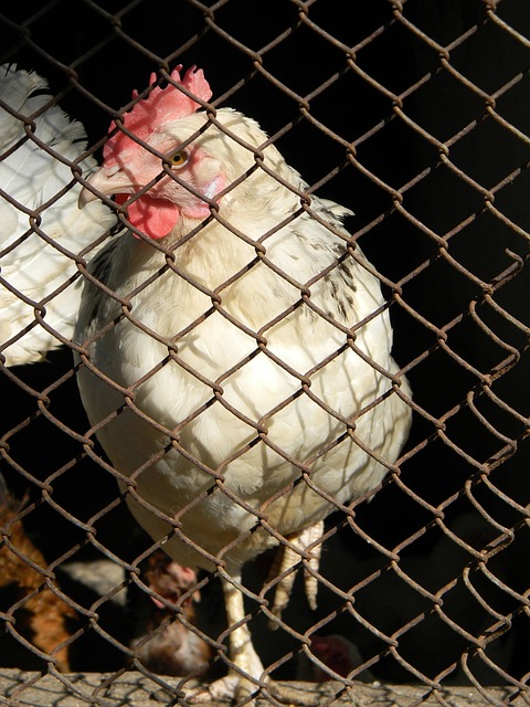 印象深刻 印象深刻