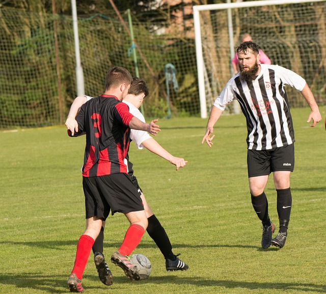 了她技术层 了她技术层