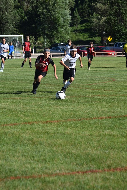 中国台北男篮公布亚预赛16人大名单：刘铮、林庭谦领衔.